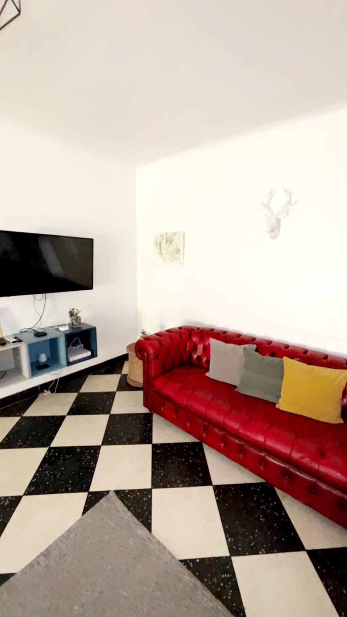 Appartement L'Olivier Arles Zewnętrze zdjęcie